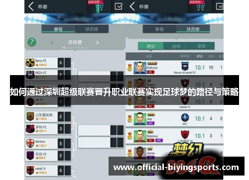 如何通过深圳超级联赛晋升职业联赛实现足球梦的路径与策略